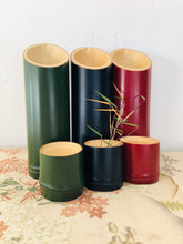 Load image into Gallery viewer, Japanese Bamboo Sake Server Red - 真竹彩り酒器